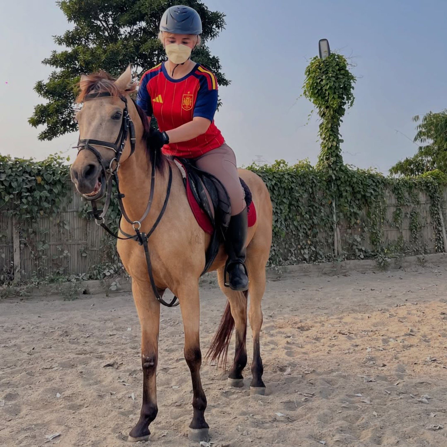 Equestrian portrait