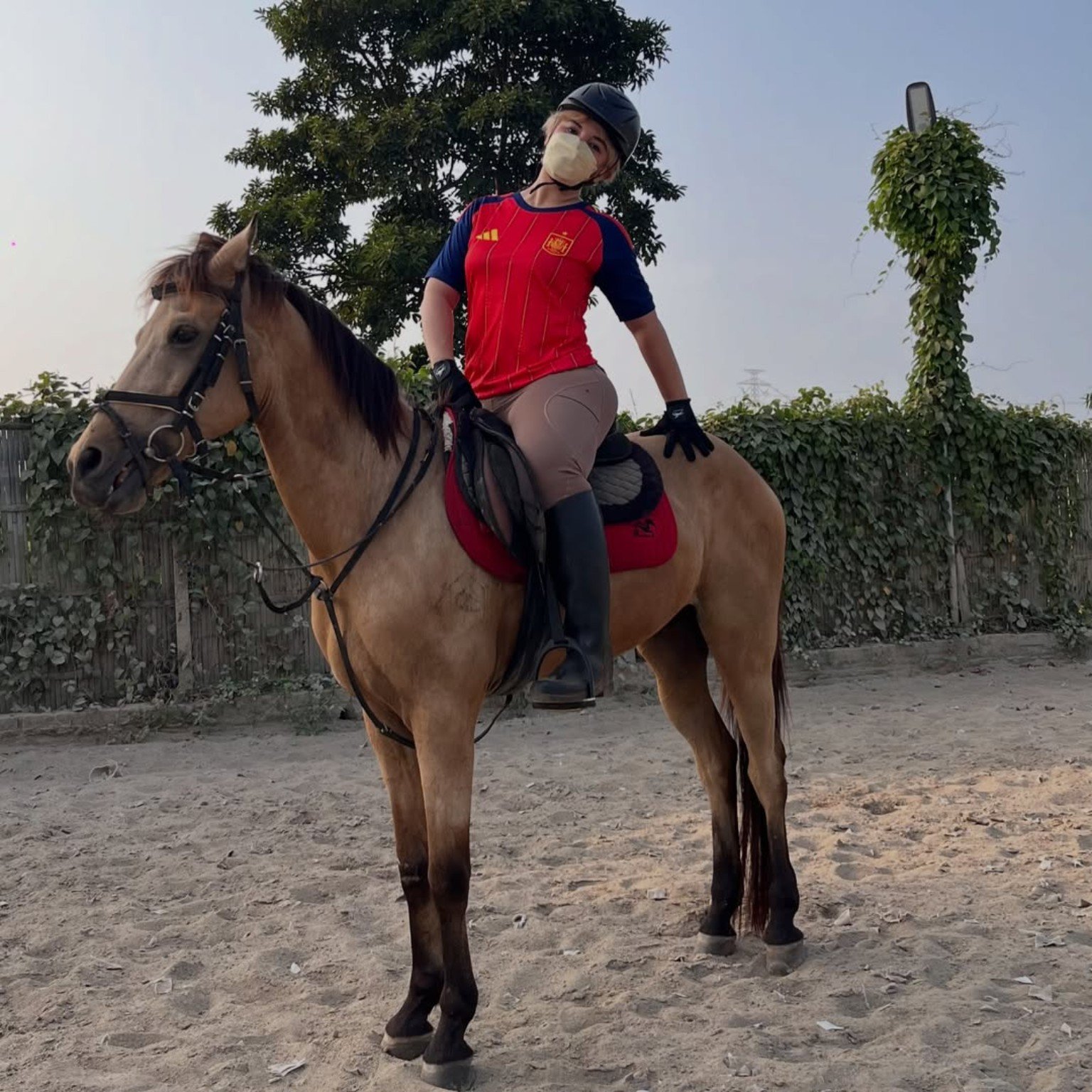 D4RLIN9S equestrian lifestyle